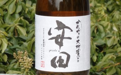 【芋焼酎】安田 | 国分酒造（鹿児島県霧島市）の画像