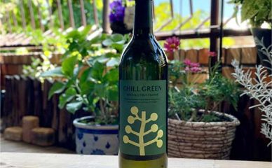 【飲んでみた】ボタニカル系麦焼酎CHILL GREEN　spicy&sitrus