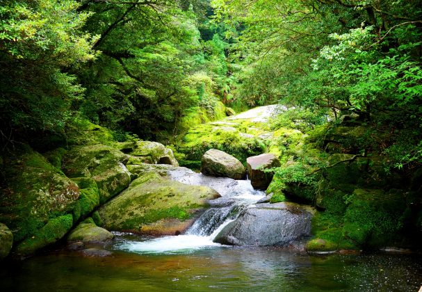 良水と地熱を考慮した仕込み環境