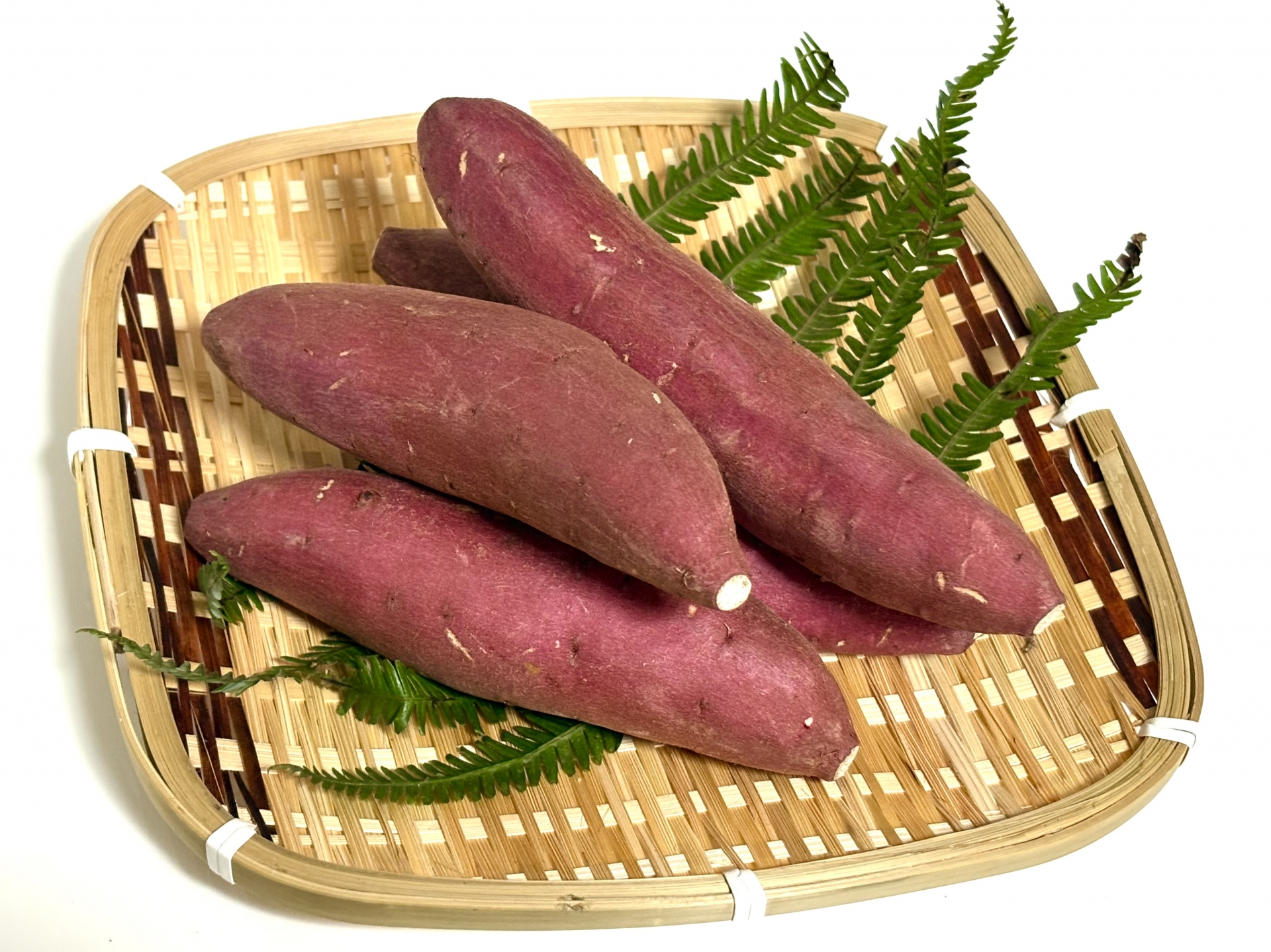 芋焼酎の原料・サツマイモの歴史と特徴